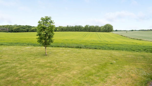 "Janne" - 400m from the sea - Foto 3, View