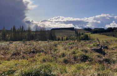 Castrum Visum Wernigerode - Foto 34