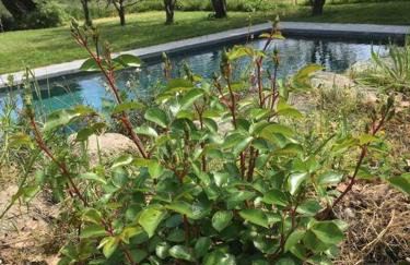 Château de Villeclare - 2 nuits minimum - Foto 53