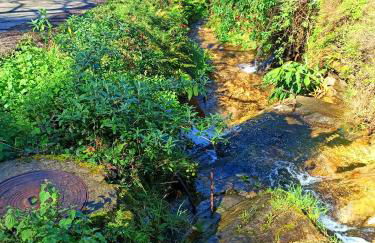 Casa Carmelo - Foto 21