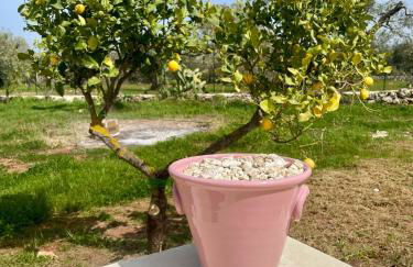 Trullo Bubamare - Foto 17