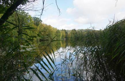 Ferienwohnung Fasse - Foto 27