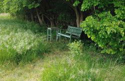 Fewo Kaiser - Foto 10