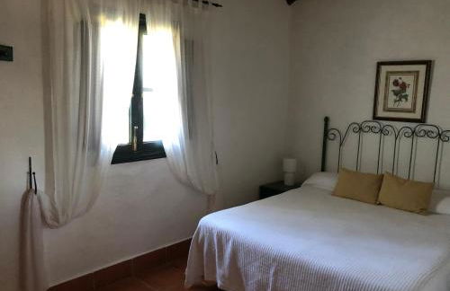 Finca La Vicaria ROMERO - Foto 11