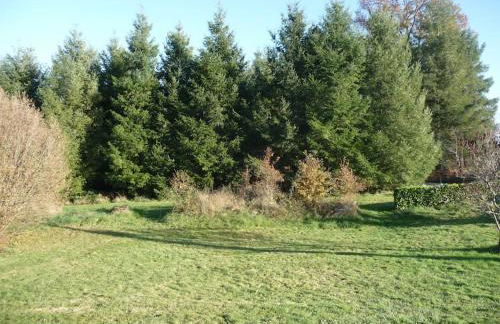 Gîte des Forces - Limousin - Haute Vienne - Foto 1