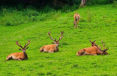 Ferienwohnungen Dorfliebe Dörnberg - Photo 18
