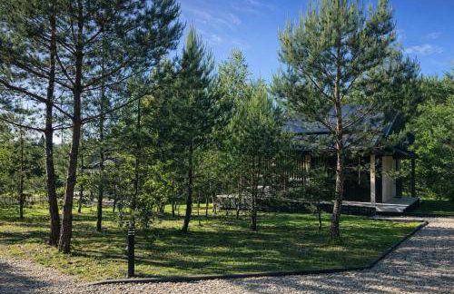 Przylesie Domki - Foto 43