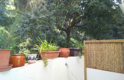 Fabulosa Casa del Árbol - Foto 10