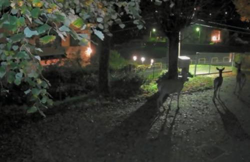 Casa del Cerbiatto, Lake Como a 5 chilometri da Argegno - Foto 16