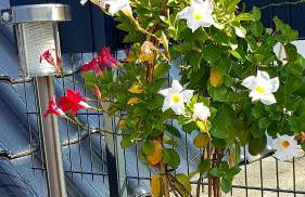 Zwei schicke Apartments mit Parkplatz - Photo 7