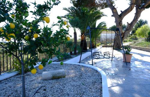 Finca San Jaime - Foto 7