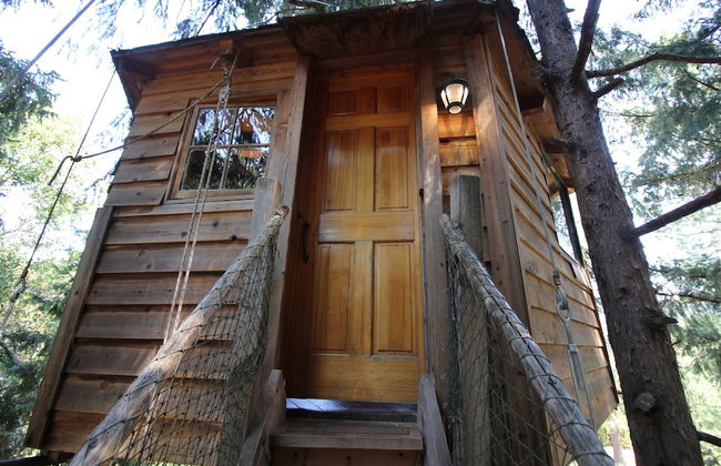 Out 'N' About Treehouse Treesort - Photo 9