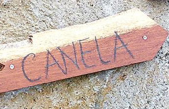 Recanto Terra Alta - Photo 9