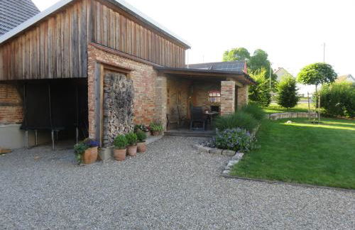 Ferienhof Handlesbauer - Foto 20