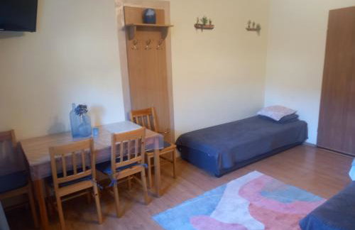 Owocowa Chojnata - Foto 52