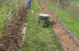 Agriturismo Terra e Lago d'Iseo Franciacorta - Foto 135