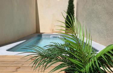 Au pied de la Cité Médiévale, piscine, vue extraordinaire, gîte La Trivala à Carcassonne - Photo 19