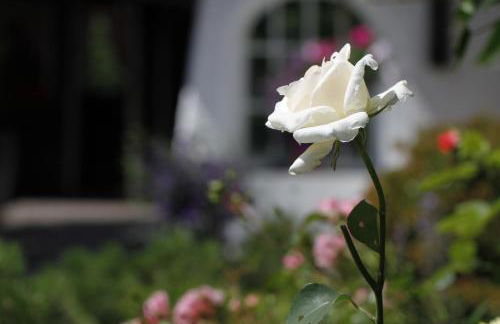 Ferienwohnung Bücker - Foto 22