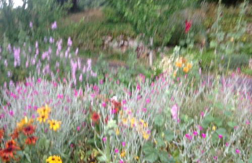 Domaine de Label, Spa, massages - Foto 76