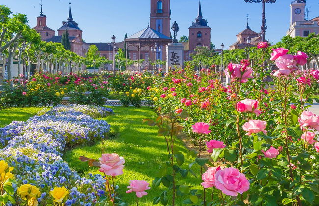 Alcalá de Henares Day Trip - Photo 13