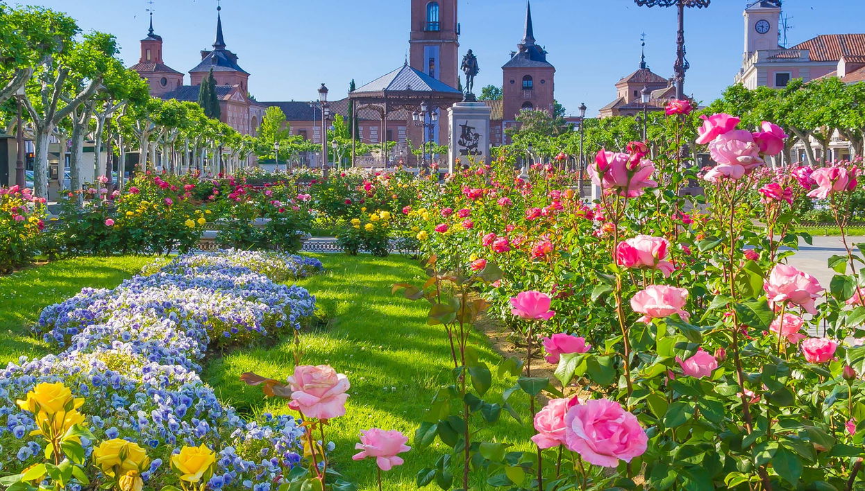 Excursión a Alcalá de Henares
