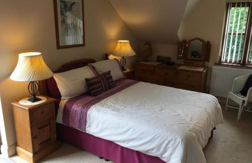 The Lavender Room - Photo 5