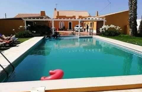 Família Gaiolas - Foto 33