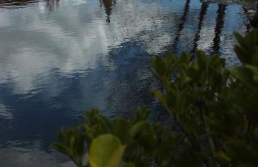 Alojamiento Rural Tres Palacios - Foto 21