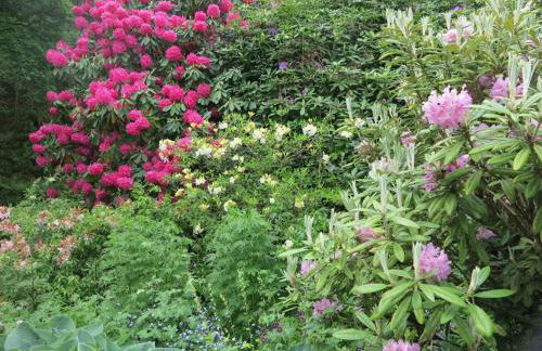 Tyas Cottage - Foto 60