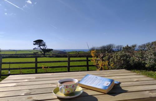 Trevose, sea views - Foto 18