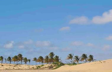 Lindo Apto, á 5 minutos da Praia! Barra de São Miguel-AL - Foto 49