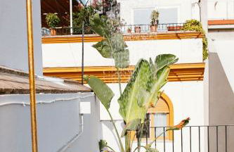 Lujoso apartamento con piscina compartida 1 - Photo 24