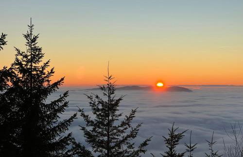 romantisches Winzerhäuschen Schwarzwald und Weinberge - Foto 18