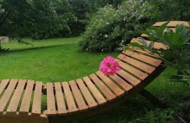 Wyciszek - mazurska agroturystyka - Foto 14