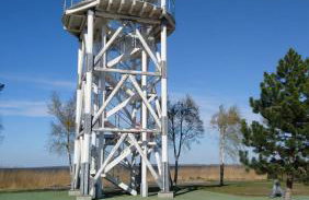 Apartments by the beach - Foto 31