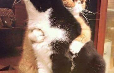 Rooms A Sinos - Foto 34