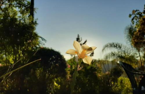 Chalé Pakere Montanha Lumiar - Conforto a mais de 1000 metros de altitude junto a natureza, wifi, piscina, sauna e água de nascente - locação do chalé sem prestação de serviços - Foto 77