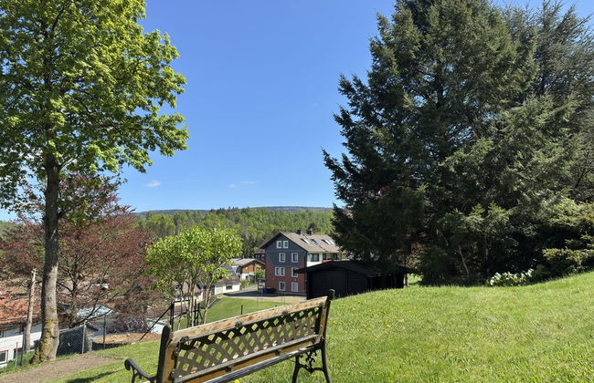 Holiday Flat in Altenau Near Harz Mountains - Foto 49