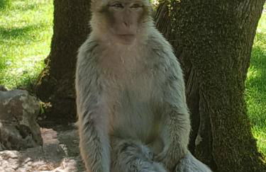 Charming House between Lot & Dordogne with Private Pool - Foto 58