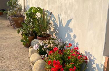 Apartamento Atalantar - Photo 50