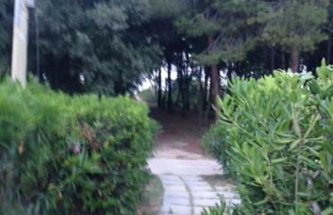 Marina di VASTO - Foto 10