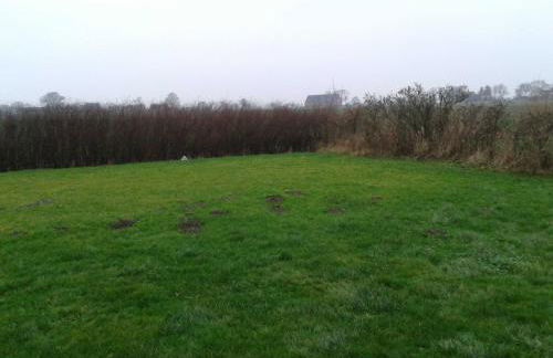 Luxuswohnung, 90 qm, Balkon, beste Lage in Kollmar - Foto 2