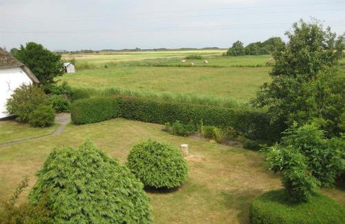 Sonnenoase - Photo 2