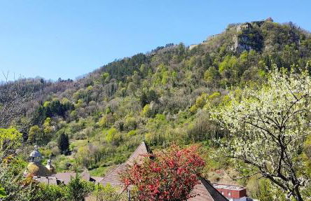 L'Aristoloche - Foto 22