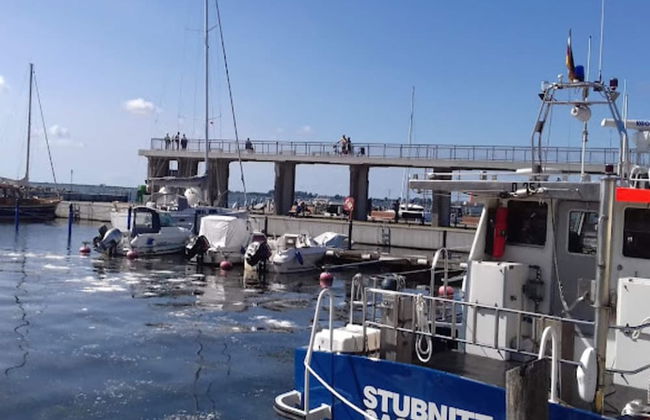 Ferienwohnung Grosser Seestern in Wiek - Foto 35