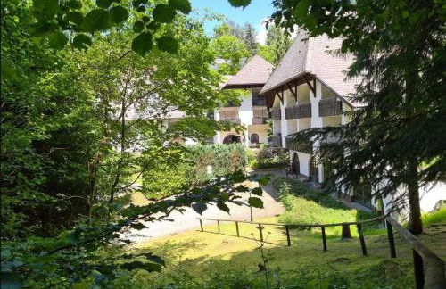 Ferienwohnung in Triberg am Waldrand - idyllisch, ruhig, erholsam - Foto 38