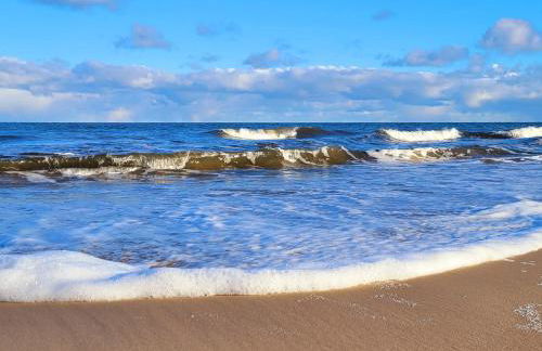 Ostsee-Urlaub-Zempin direkt am Küstenwald, nur wenige Minuten zum Strand, optimal für Paare mit 1 Hund bis 45 cm Schulterhöhe - Foto 49