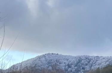 Blockhaus in herrlicher Umgebung - Foto 40