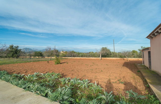 Ca n Canastro in Consell - Foto 32