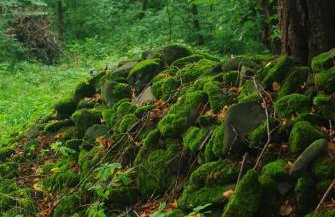 Apartamenty Agroturystyczne Papiernia Grill, Sauna & Jacuzzi - Foto 61